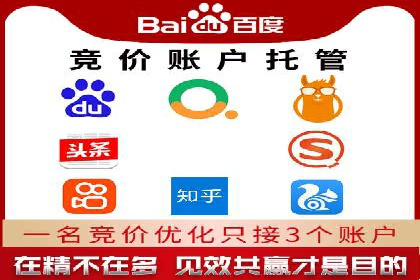 专业SEM托管：成功提升广告效果的案例分析